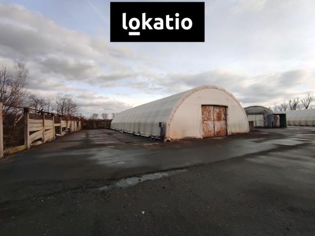Pronájem skladu, Pardubice - Semtín, 360 m2