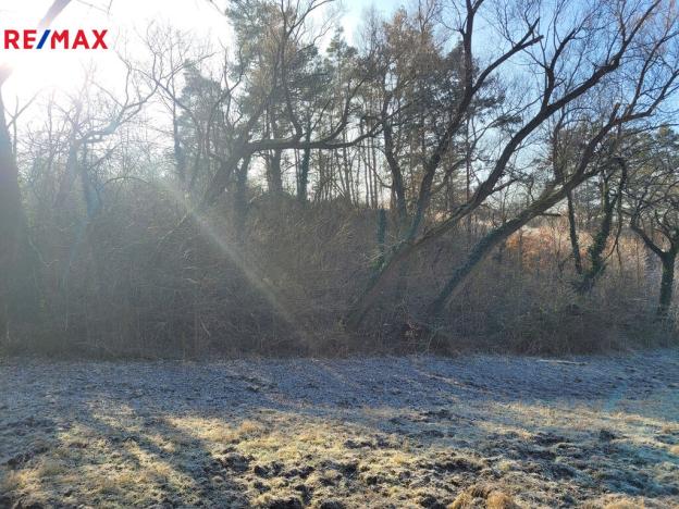 Prodej louky, Sýkořice, 3885 m2