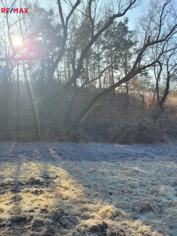 Prodej louky, Sýkořice, 3885 m2