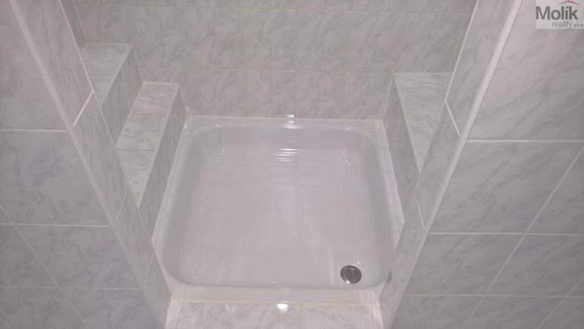 Prodej vícegeneračního domu, Žatec, Oblouková, 326 m2