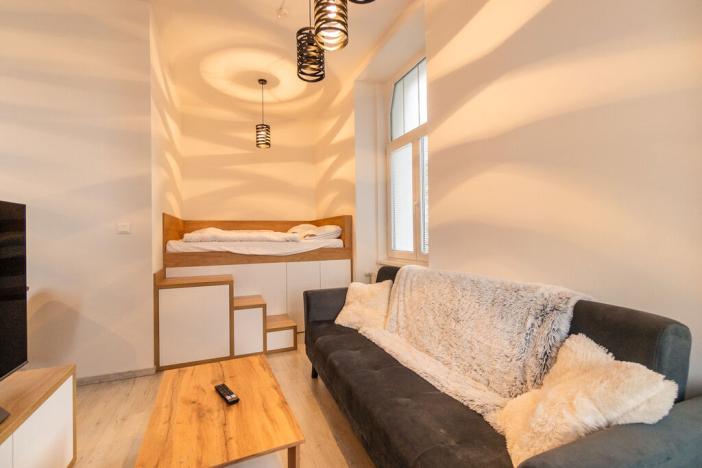 Pronájem bytu 1+kk, Ústí nad Labem - Střekov, Žukovova, 29 m2