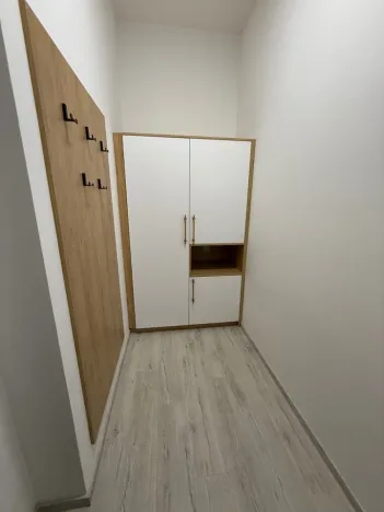 Pronájem bytu 1+kk, Ústí nad Labem - Střekov, Žukovova, 29 m2