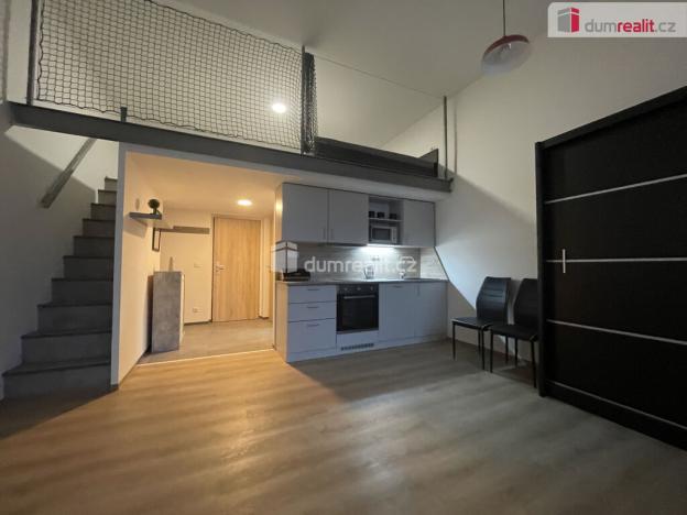 Pronájem bytu 1+kk, Opava - Předměstí, Olbrichova, 25 m2