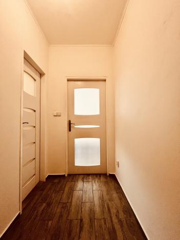 Pronájem bytu 1+1, Ostrava - Moravská Ostrava, Garážní, 46 m2