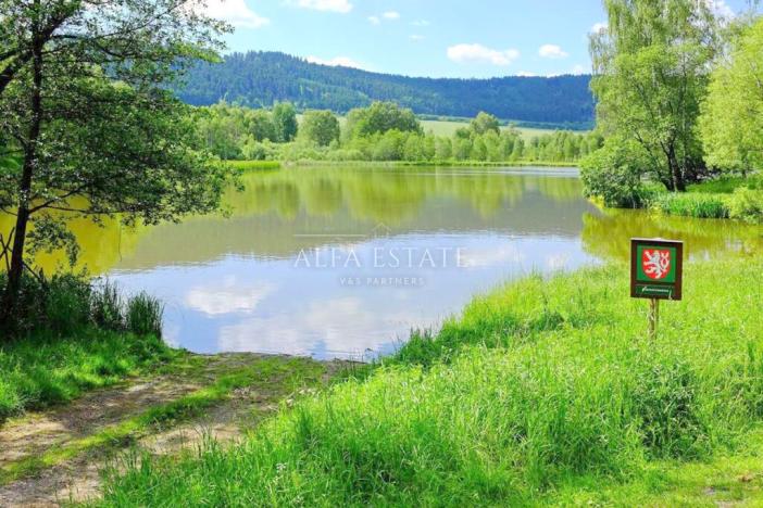 Prodej pozemku, Toužim - Třebouň, 839 m2