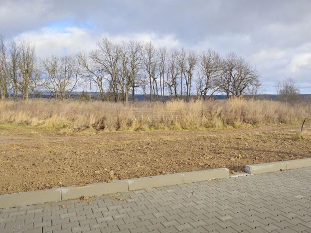 Prodej pozemku, Toužim - Třebouň, 839 m2