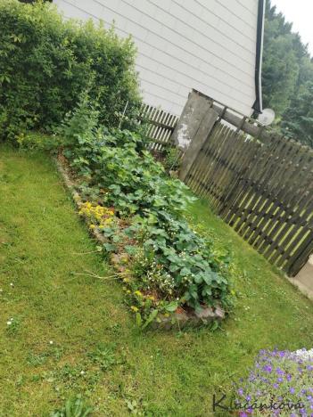 Prodej rodinného domu, Deutschneudorf, Německo, Oberlochmühle, 608 m2