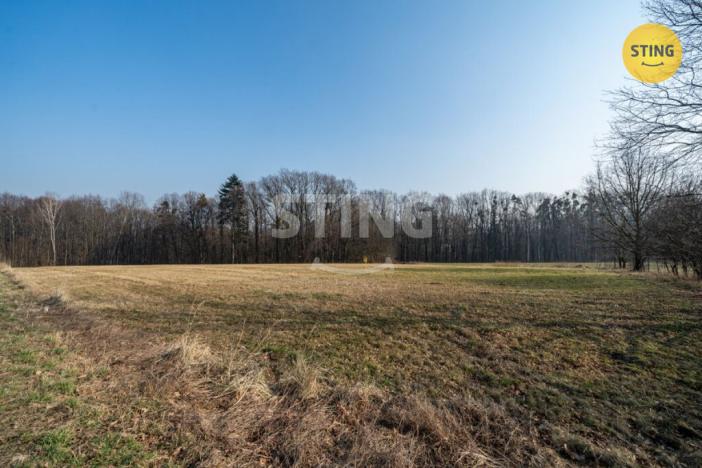 Prodej pozemku pro bydlení, Vojkovice, 8566 m2