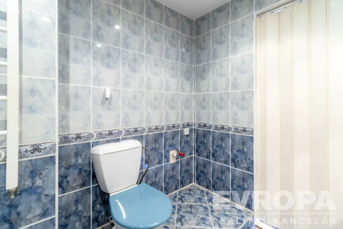 Prodej rodinného domu, Ústí nad Labem - Hostovice, Hostovická, 250 m2