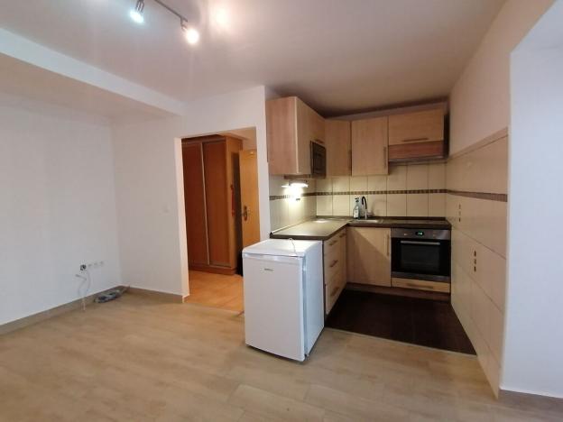 Pronájem bytu 1+kk, Zábřeh, U Horního rybníka, 30 m2