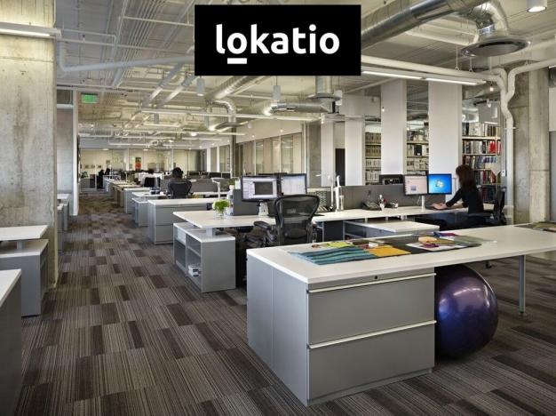 Pronájem skladu, Cheb, Logistická, 27326 m2