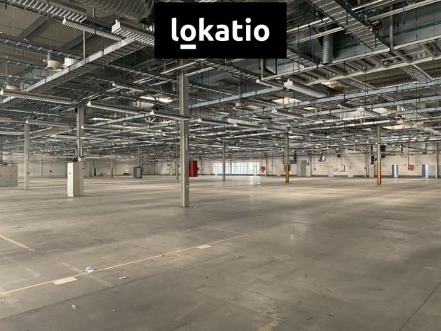 Pronájem skladu, Plzeň, U Nové Hospody, 16000 m2