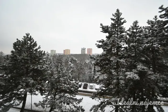 Pronájem bytu 2+1, Brno - Kohoutovice, Voříškova, 52 m2