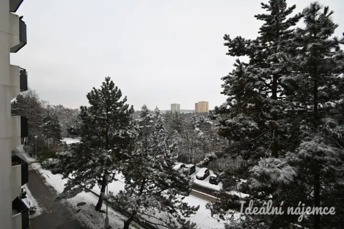 Pronájem bytu 2+1, Brno - Kohoutovice, Voříškova, 52 m2