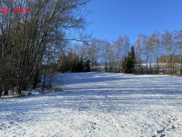 Prodej pozemku pro bydlení, Sobkovice, 8048 m2