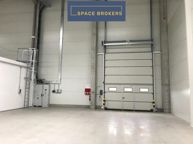 Pronájem skladu, Velké Albrechtice, 69000 m2