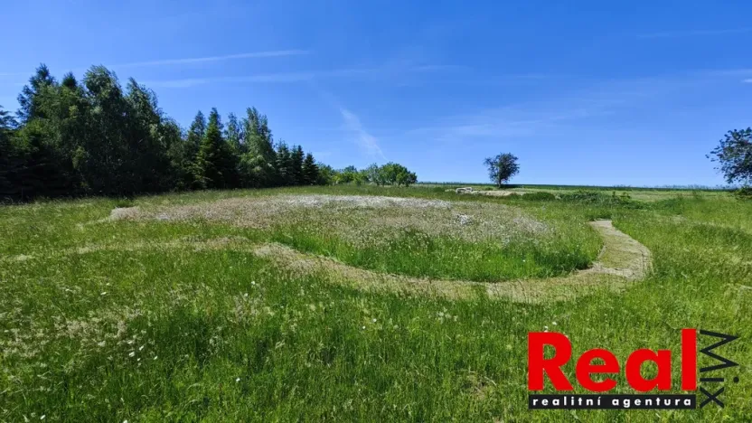 Prodej pozemku pro bydlení, Ježkovice, 3053 m2