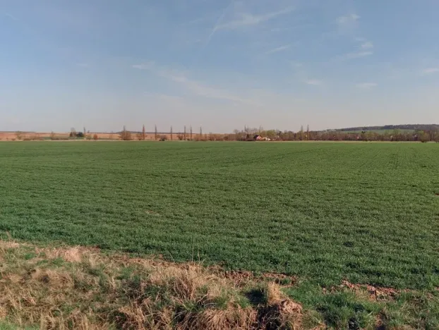 Prodej pole, Nechanice, 22509 m2
