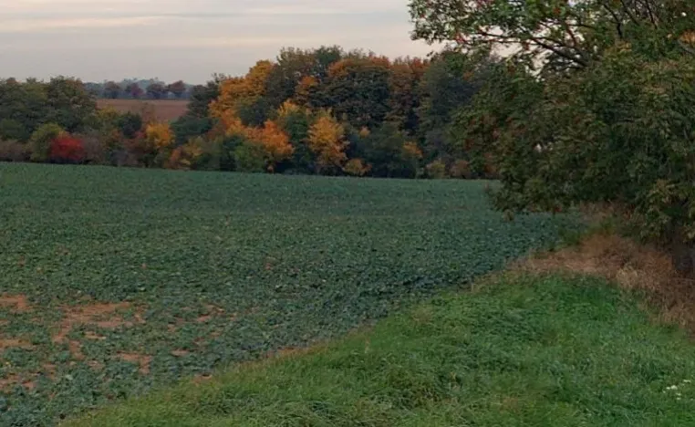 Prodej zahrady, Červené Pečky, 4357 m2