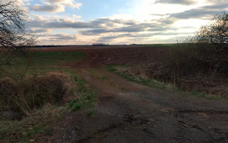 Prodej pole, Markvartice, 9944 m2