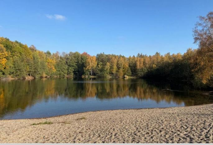 Prodej zahrady, Litvínov - Horní Litvínov, Koldům, 306 m2