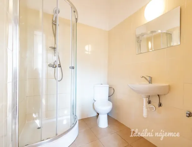 Pronájem bytu 2+kk, Praha - Žižkov, Seifertova, 46 m2