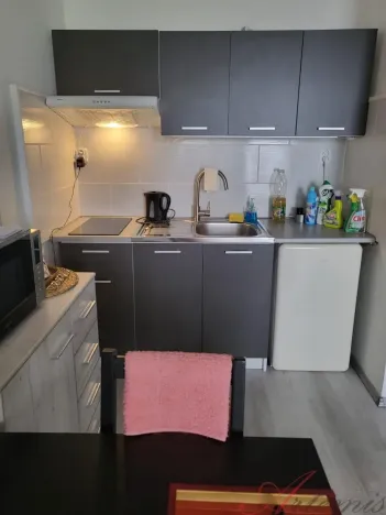 Pronájem bytu 1+kk, Ostrava - Moravská Ostrava, Lechowiczova, 30 m2