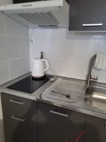 Pronájem bytu 1+kk, Ostrava - Moravská Ostrava, Lechowiczova, 30 m2