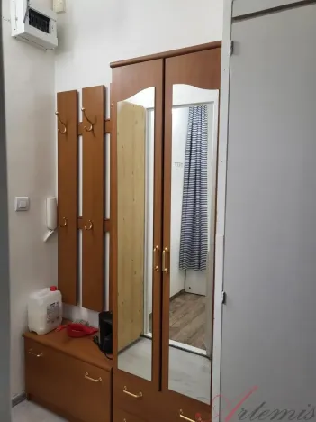 Pronájem bytu 1+kk, Ostrava - Moravská Ostrava, Lechowiczova, 30 m2