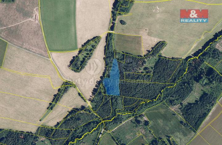 Prodej lesa, Jiříkov, 8566 m2