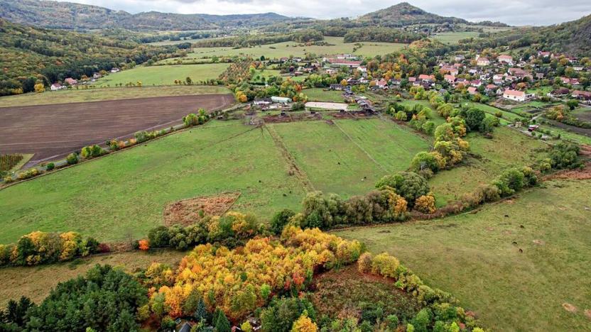 Prodej pozemku, Třebušín, 127000 m2