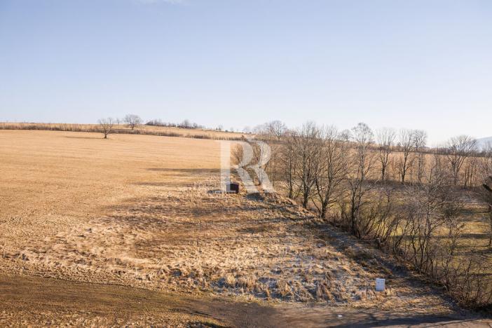 Prodej pozemku pro bydlení, Horní Podluží, 3931 m2