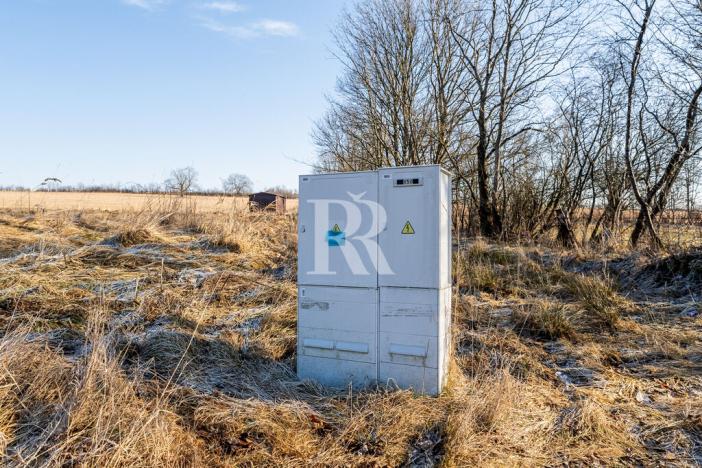 Prodej pozemku pro bydlení, Horní Podluží, 3931 m2