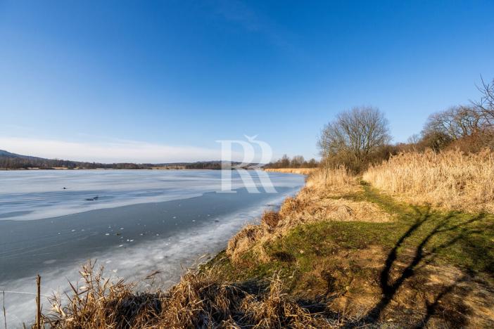 Prodej pozemku pro bydlení, Horní Podluží, 3931 m2