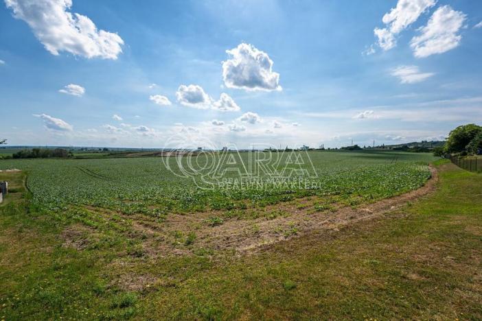 Prodej pozemku pro bydlení, Dobrovice - Úherce, 1121 m2