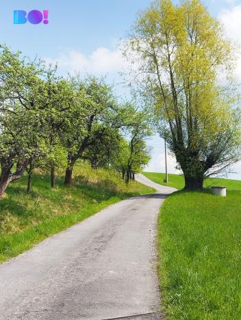 Prodej chalupy, Kozlovice, 155 m2