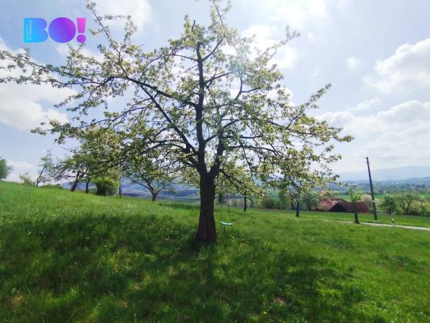 Prodej chalupy, Kozlovice, 155 m2