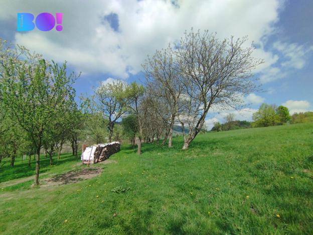 Prodej chalupy, Kozlovice, 155 m2