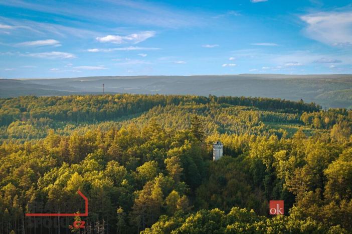 Prodej pozemku pro bydlení, Beroun, samota Na Vinici, 3833 m2