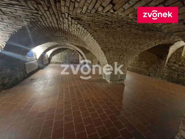 Pronájem obchodního prostoru, Uherské Hradiště, 650 m2