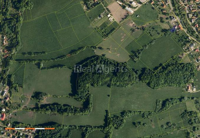 Prodej lesa, Nový Jičín, 13092 m2
