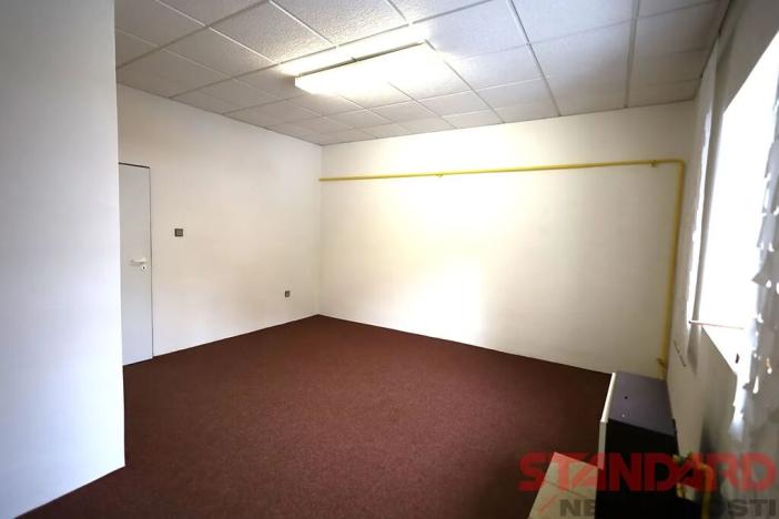 Pronájem obchodního prostoru, Blovice, Americká, 56 m2