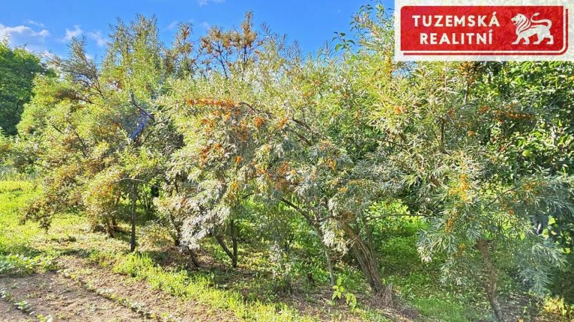 Prodej pozemku pro bydlení, Brno - Líšeň, 523 m2