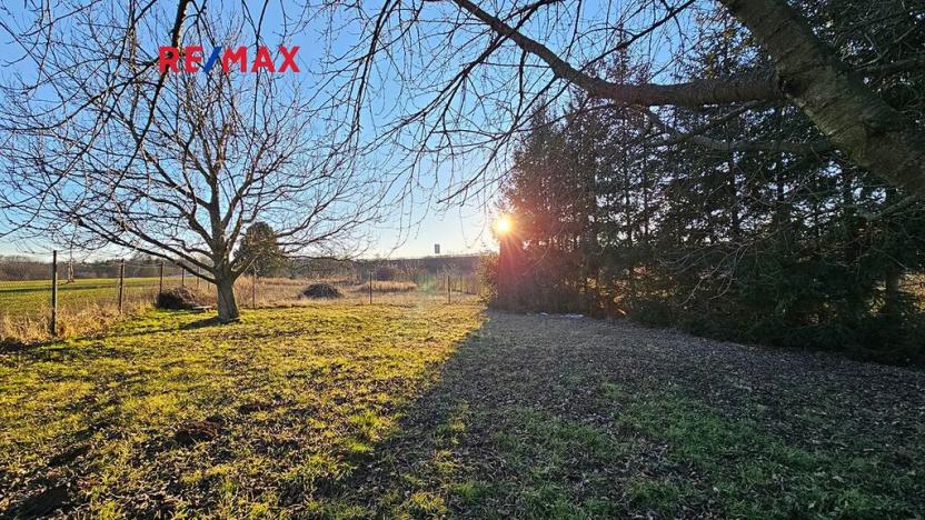 Prodej zahrady, Kolín, 346 m2