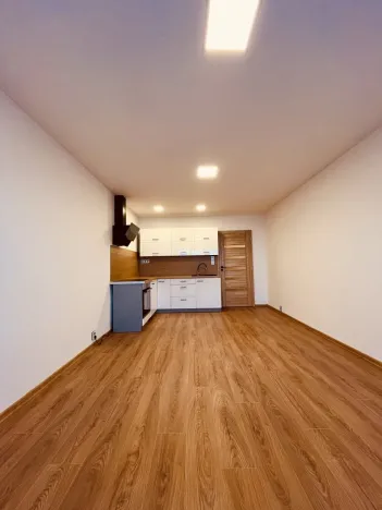 Pronájem bytu 1+kk, Ostrava - Výškovice, Výškovická, 27 m2