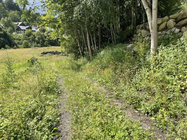 Prodej pozemku pro bydlení, Josefův Důl, 2485 m2