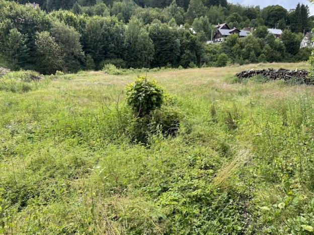 Prodej pozemku pro bydlení, Josefův Důl, 2485 m2