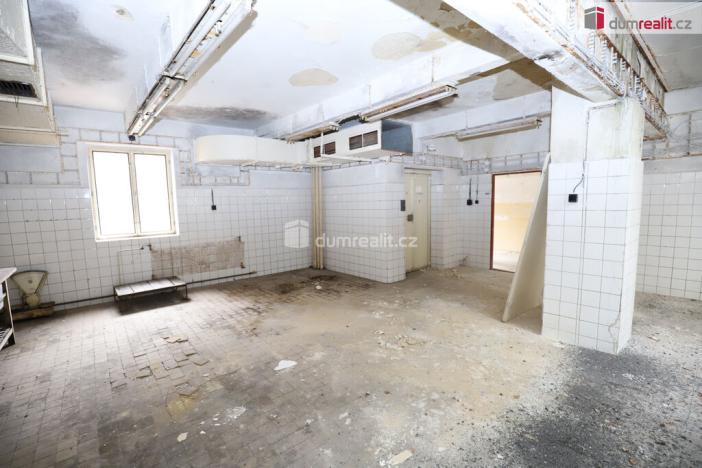 Prodej komerční nemovitosti, Karlovy Vary - Rybáře, Sokolovská, 600 m2