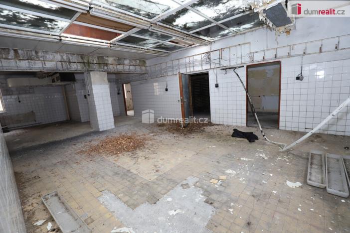 Prodej komerční nemovitosti, Karlovy Vary - Rybáře, Sokolovská, 600 m2