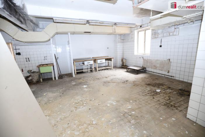 Prodej komerční nemovitosti, Karlovy Vary - Rybáře, Sokolovská, 600 m2